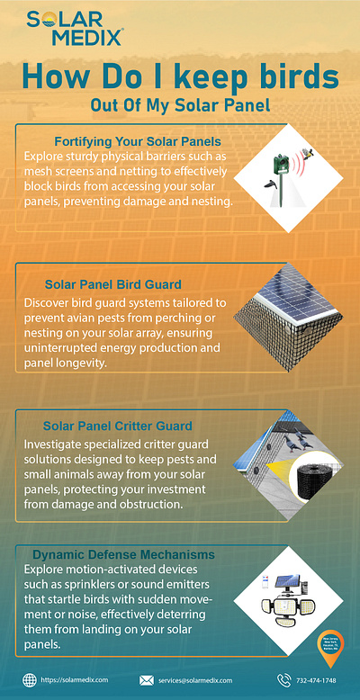 Feathered Friends or Feathered Foes? | Infographic branding critter guard critter solutions graphic design infographic solar consultation