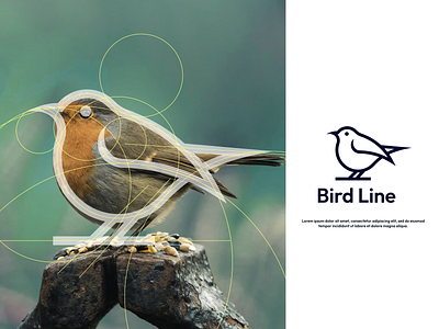 Bird Line Logo branding design graphic design icon illustration logo logo design logotype ui vector
