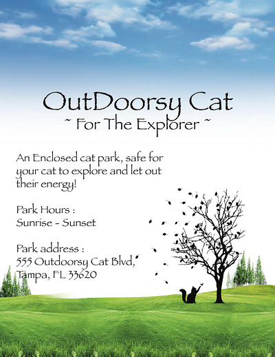 OutDoorsy Cat Poster branding graphic design logo