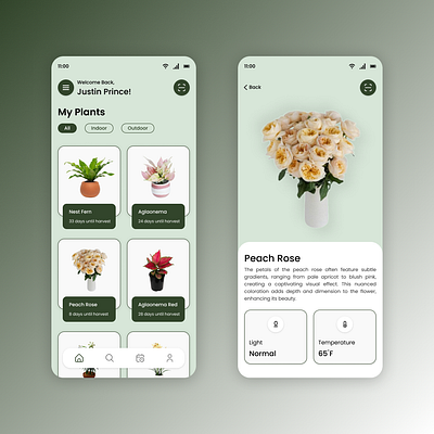 Plant Care App care dailyui figma mobileapp plant ui uidesign uiux uiuxdesign ux uxdesign