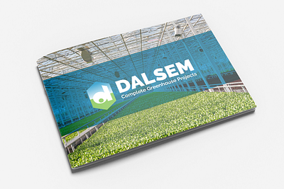 Dalsem brandbook branding corporate graphic design logo redesign