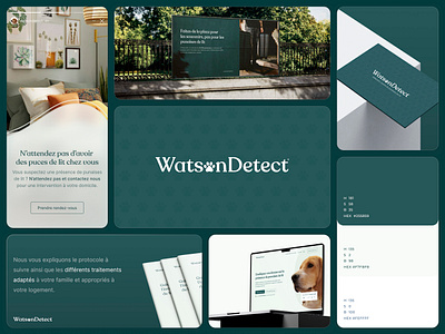 WatsonDetect - website animals bed branding canine design detect detection dog logo ui ux watson watsondetect web webdesign webdesigner website