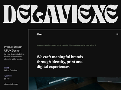Delaviexe app application branding design figma graphic design icon illustration landing page logo motion graphics ui ux website