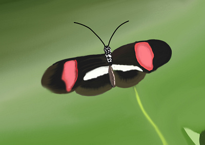 Digital painting butterfly digital painting photoshop