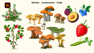Mushrooms, berries 2d berries botanical illustration fruits illustration mushroom props svg vector