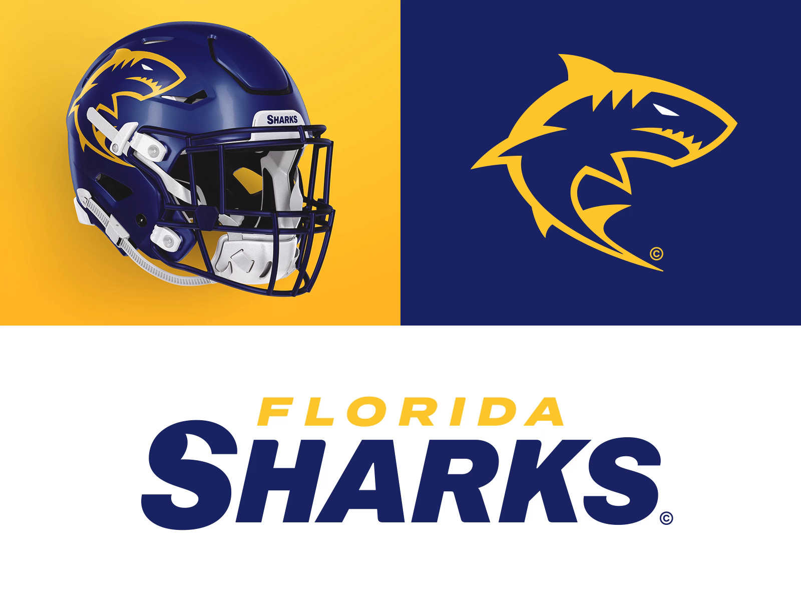 10/32 – Florida Sharks by Zilligen Design Studio on Dribbble, image size:1600x1200