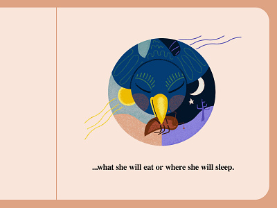 What She Will Eat Or Where She Will Sleep bird blue bird childrens book cockroach illustration moon picture book sun