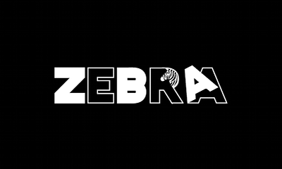 Logo design for Zebra branding design logo logo design modern logo text logo writemark logo