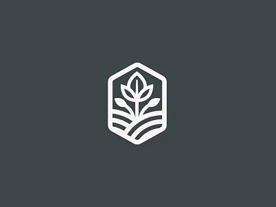 PLANT CARE LOGO brand logo design graphic design icon design illustration logo logo design logo design idea minimalistic logo plant logo tree logo vector