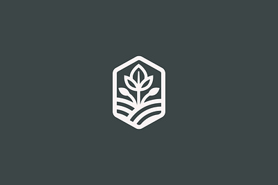 PLANT CARE LOGO brand logo design graphic design icon design illustration logo logo design logo design idea minimalistic logo plant logo tree logo vector