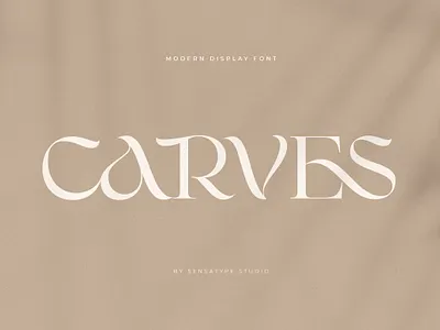 CARVES - Modern Display Font beautiful beauty botanical classy display font floral lettering logo font logotype modern retro sans sans serif serif slab type typeface vintage wedding
