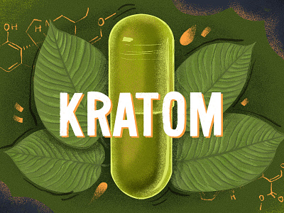Kratom illustration design drugs graphic design green herb illustration katom leaf medicine natural organic procreate textured