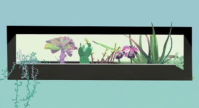 Succulents Lighted design illustration procreate