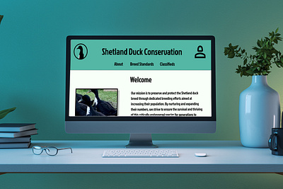 Shetland Duck Conservation Website branding design figma graphic design illustration typography ui ux