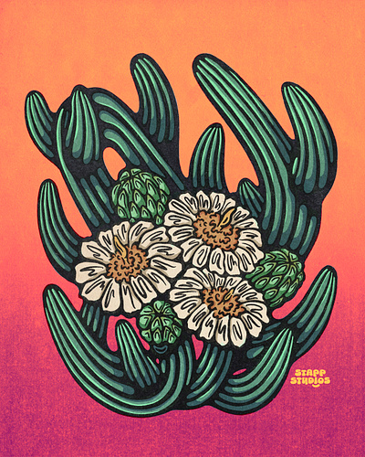 Saguaro Celebrating bright cactus desert design graphic design illustration psychedelic saguaro saguaro blossom sunset