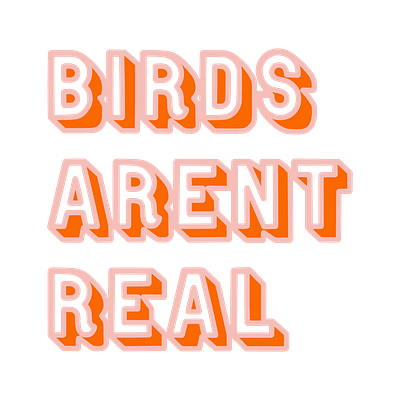 Birds Arent Real Sticker birds graphic design retro silly sticker type typography