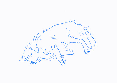 Barry animal blue cute dog illustration minimal pencil pet simple sketch