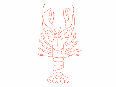 Lobster crustacean dinner fish illustration lobster minimal pencil red sea seafood simple sketch