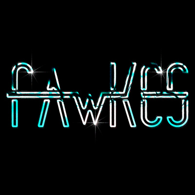 Logo fawkes branding graphic design logo