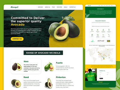 Avocado Company Website avocado ecommerce fuerte graphic design green hass illustration pinkerton reed ui uiux webdesign website design