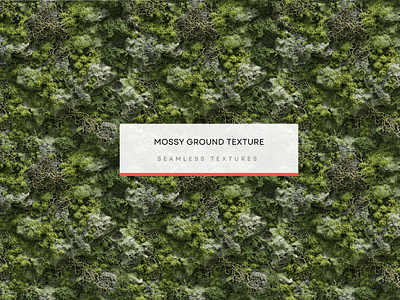 Mossy ground texture, Seamless Textures 300 DPI, 4K background texture floor texture grass texture leaves texture nature texture organic texture seamless texture