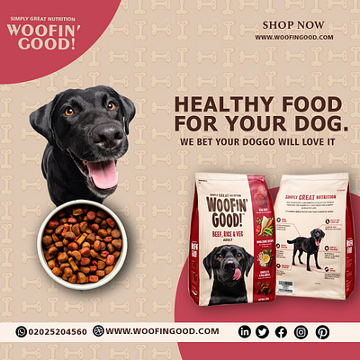 Dog Food Promotion. dog food social media post