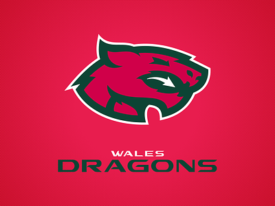 Wales Dragons branding cardiff design dragon football graphic design great britain head illustration logo united kingdom wales welsh