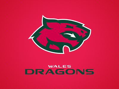 Wales Dragons branding cardiff design dragon football graphic design great britain head illustration logo united kingdom wales welsh