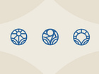 Example of Shot