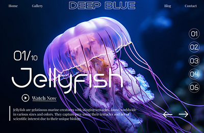 Deep Blue deep blue design fish graphic design illustration jellyfish landing page ui uiux