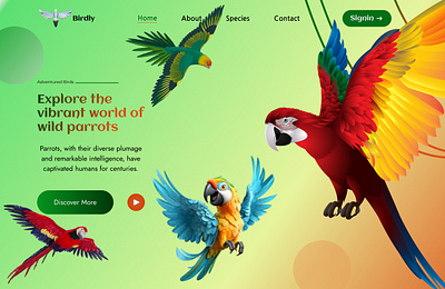 Parrot UI ui