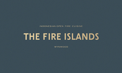 The Fire Islands Project 3d branding business card graphic design logo minimalist business card mot stationery