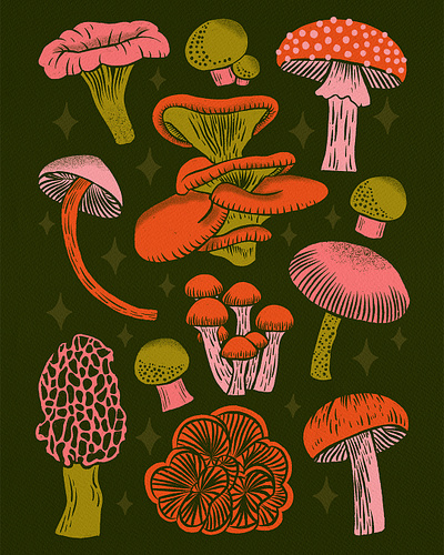 Texas Mushrooms art licensing botanical cottagecore fungi illustration mushrooms natural nature plants texas