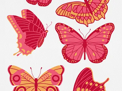 Texas Butterflies animal art licensing butterflies butterfly cottagecore illustration insect natural nature texas