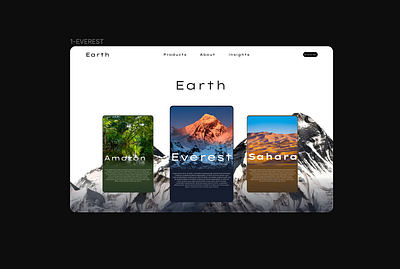 Earth 🌍 animation branding graphic design motion graphics ui website