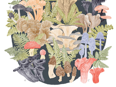 Mycological Marvels: A Fungal Foray botanical mushroom illustration culinary mushroom varieties detailed mycological drawing edible fungi chart educational fungi art foraging mushrooms infographic forest floor ecosystem fungi field guide gourmet mushrooms print medicinal mushrooms illustration mushroom collectors art mushroom foray print mushroom species poster mycologists reference artwork mycology guide artwork natural world illustration nature educational diagram vintage style mushroom guide wild mushrooms identification
