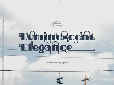 Luminescent Elegance Font aesthetic display font elegance font luminescent luxury sans serif