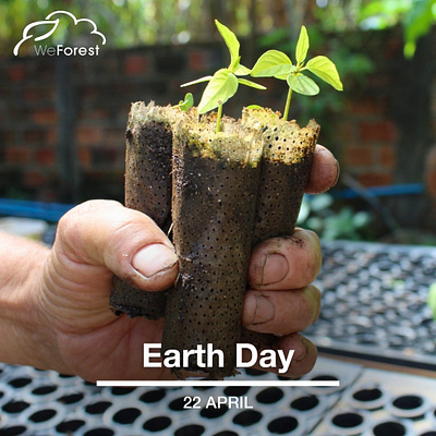 Today is Earth Day agency news earth day environment values weforest
