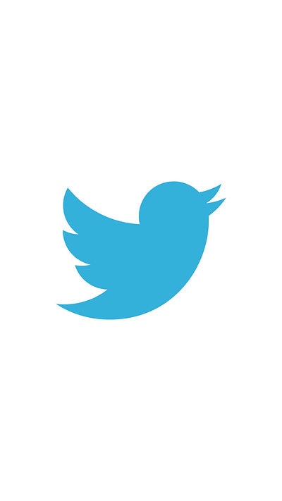 Twitter logo Evolution to X animation branding evolution identity logo logoanimation loop motion graphic twitter x