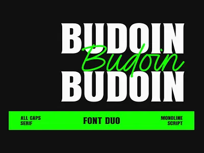 Budoin Font Duo branding calligraphy design fonts handlettering logo text type typeface typography