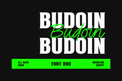 Budoin Font Duo branding calligraphy design fonts handlettering logo text type typeface typography