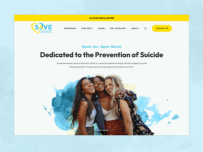 SAVE (save.org) ux web design website