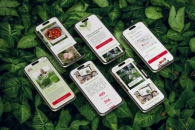 Mobile version plants production company e commerce mobileversion plants plantscompany ui uiuxdesign webdesign