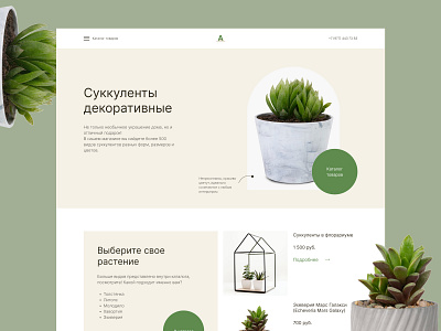 Design concept for an ornamental plant store design ui ux