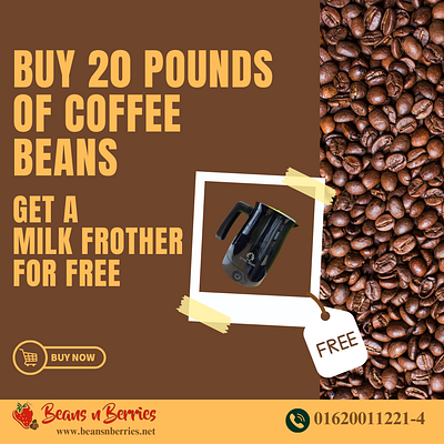 coffee beans offer