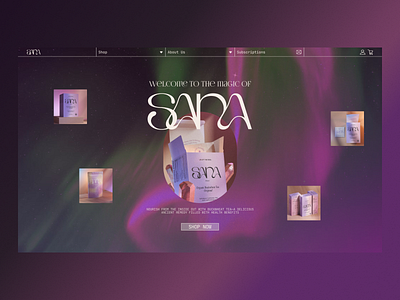 Sana design ui ux web web design