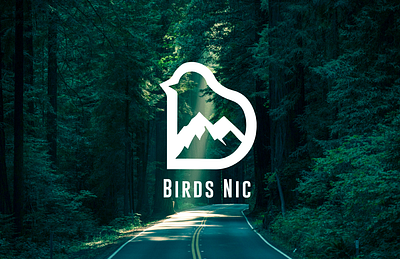 BIRDS NIC - BRAND BOOK adobe bird branding color theory creatividad creativity design graphic design illustration image editing. logo marketing minimalist mountain