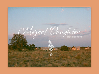 Mezcal Daughter - Rebrand and New Site graphic design ui web design