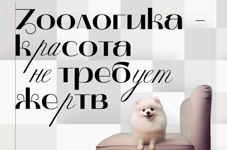 ЗООЛОГИКА - товары для животных. Экологично, бережно, логично. by Анна ...