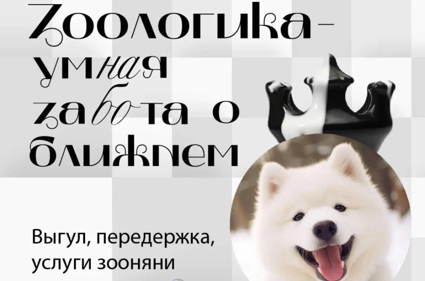 ЗООЛОГИКА - товары для животных. Экологично, бережно, логично. by Анна ...